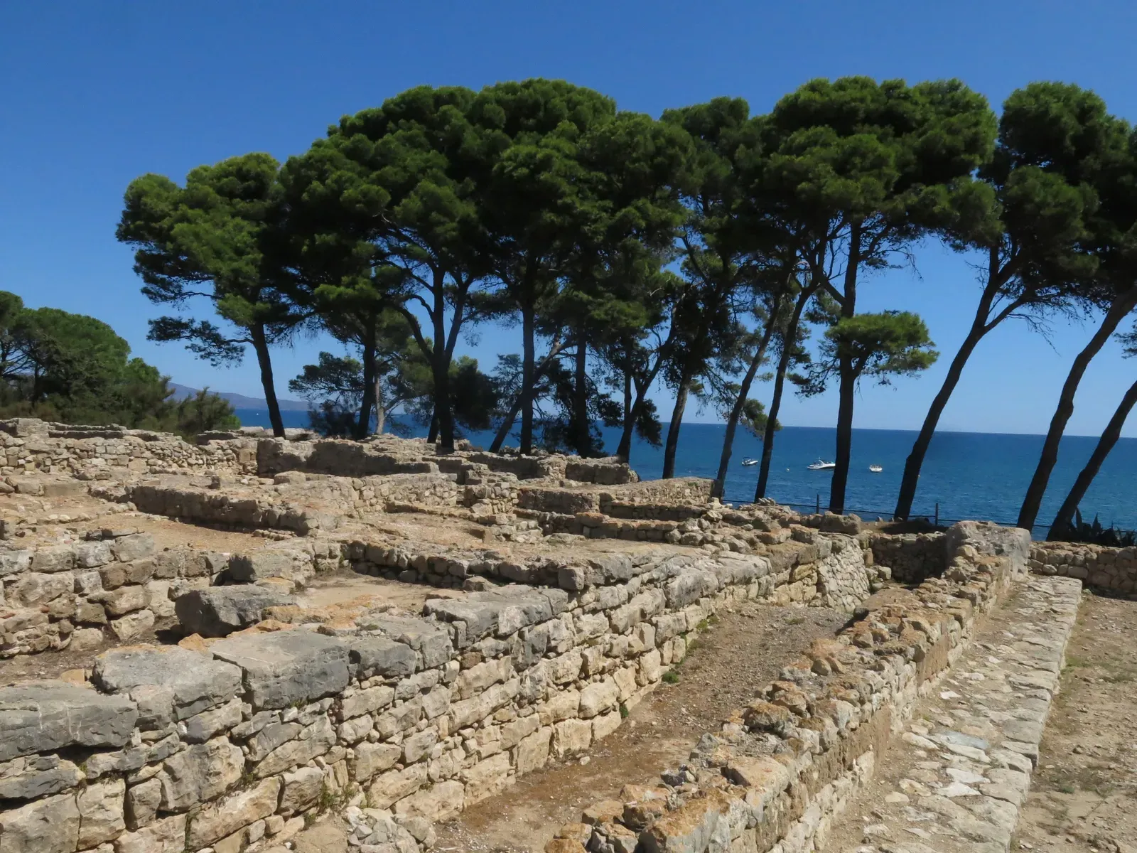 ruinas de la ciudad griega de ampurias: hileras de muros bajos de piedra en primer plano, una fila de pinos y, detrás, el mar azul con algunas barcas