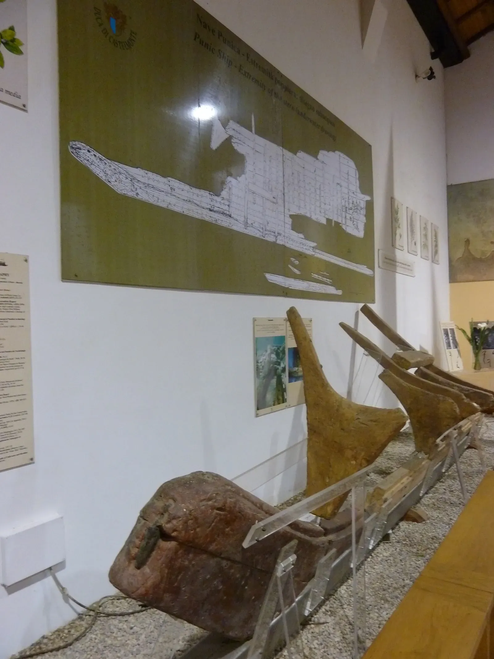 restos arqueológicos de la proa de un barco de guerra púnico, hallado frente a marsala, sicilia