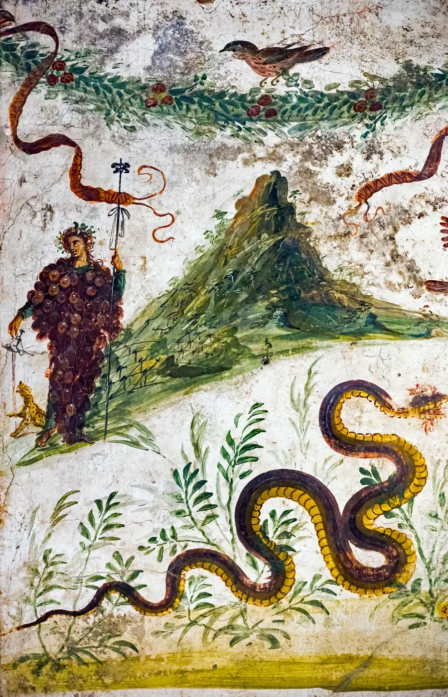 fresco pompeyano de baco cubierto de racimos de uva ante el vesubio, con una serpiente entre las plantas