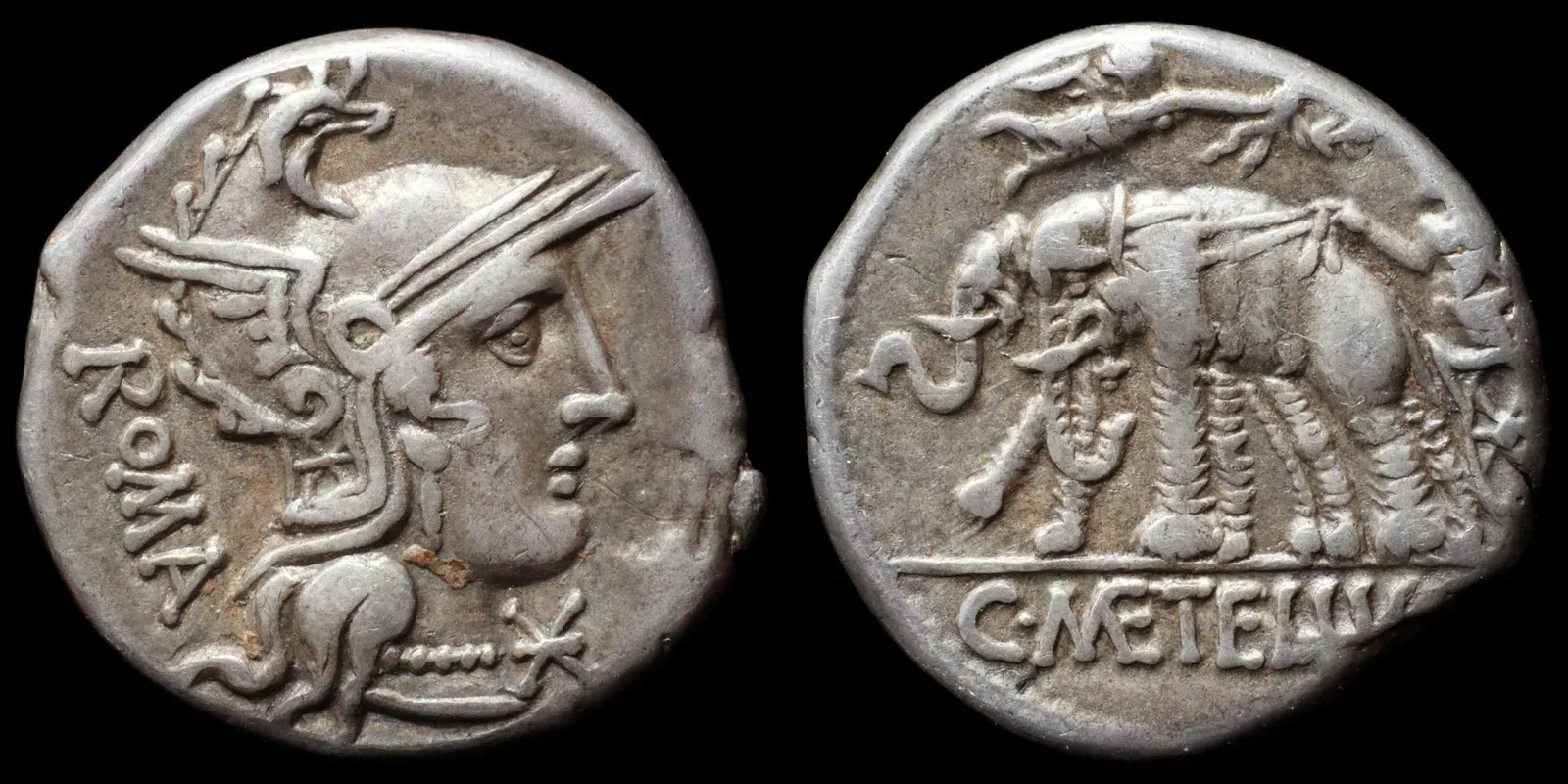 denario romano de plata: cabeza de roma en el anverso y una biga de elefantes con la leyenda c·metellvs en el reverso