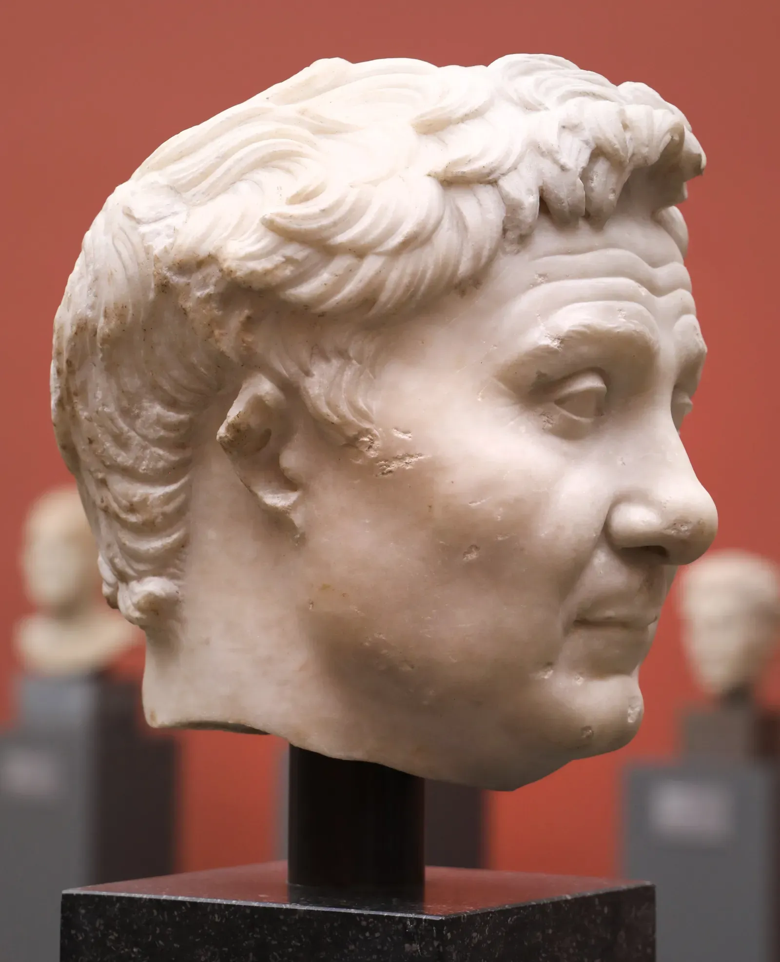 cabeza de mármol de pompeyo el grande, vista de tres cuartos: rostro ancho y carnoso, frente arrugada y el mechón levantado sobre la frente, ante una pared roja de museo